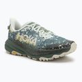 HOKA Speedgoat 6 GTX Herren Laufschuhe sea flass/fern