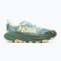 HOKA Speedgoat 6 GTX Herren Laufschuhe sa glass/fern 2