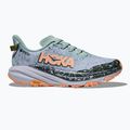 Damen-Laufschuhe HOKA Speedgoat 6 GTX jade/aschgrau 2