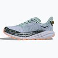 Damen-Laufschuhe HOKA Speedgoat 6 GTX jade/aschgrau 3