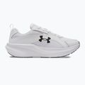 Herren-Laufschuhe Under Armour Assert 11 weiß/schwarz/distant gray