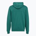 Herren Hoodie Under Armour Rival LW Hoodie rack green/black 2