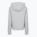 Damen-Hoodie Under Armour Sport Terry Hoodie mod gray light heather/white 2