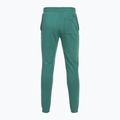 Herrenhose Under Armour Rival LW Graphic Jogger rack green/black 2