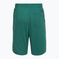 Under Armour Rival LW Graphic rack green/black Herren-Trainingsshorts 6