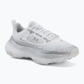 Damen Trainingsschuhe Under Armour Pulse white/distant gray/distant gray