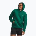 Herrenpullover Under Armour Rival Fleece Hoodie campus ivy/white