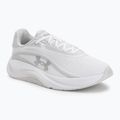 Damen Trainingsschuhe Under Armour Radiant TR white/distant gray/metallic silver