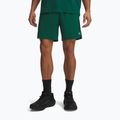 Herren-Trainingsshorts Under Armour Vanish Woven 2.0 Shorts campus ivy/white