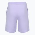 Herrenshorts New Balance Fleece Shorts 9" daybreak 2