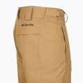 Herren-Skihose Columbia Bugaboo V canoe 12