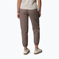 Herren Trekkinghose Columbia ROC Ripstop Jogger iron 3