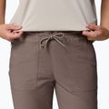 Herren Trekkinghose Columbia ROC Ripstop Jogger iron 5