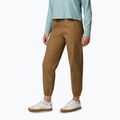 Herren-Trekkinghose Columbia ROC Ripstop Jogger Delta 4