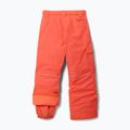 Skihose Columbia Bugaboo III Zing 2
