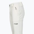 Damen-Skihose Columbia Roffee Ridge VI sea salt 11