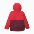 Kinder-Skijacke Columbia Alpine Action III Rich Wine melange/mountain red 2