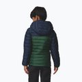 Kinderjacke Columbia Powder Lite II Hooded Rain Forest/Collegiate Navy 3