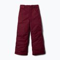 Kinder-Skihose Columbia Starchaser Peak III rich wine 6