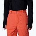 Herren-Skihose Columbia Cirque Bowl Zing 5