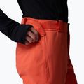 Herren-Skihose Columbia Cirque Bowl Zing 7