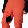 Herren-Skihose Columbia Cirque Bowl Zing 10