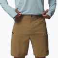 Herren-Trekking-Shorts Columbia Cosmiques Pro Nylon delta 5