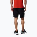 Herren-Trekking-Shorts Columbia Cosmiques Pro Nylon black 3