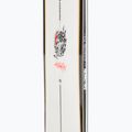 Snowboard Herren Salomon Assassin 5