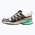 Herren-Laufschuhe Salomon XA PRO 3D V9 GTX transparentgelb/schwarz/wasserfall 9