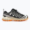 Herren Laufschuhe Salomon XA PRO 3D V9 GTX schwarz/vanilleeis/kurkuma 2