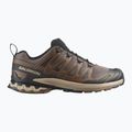 Herren Laufschuhe Salomon XA Pro 3D V9 falcon/desert tan/schwarz 2