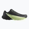 Herren-Laufschuhe Salomon Pulsar black/black/patina green 9