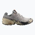 Herren-Laufschuhe Salomon Speedcross 6 GTX gull/white pepper/schwarz 2