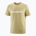 Herren T-Shirt Salomon Logo grau grün 3