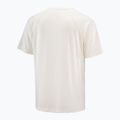Herren-T-Shirt Salomon Shakeout Core whisper white 4