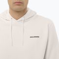 Herrenpullover Salomon Chest Logo Hoodie whisper white 3