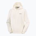 Herrenpullover Salomon Chest Logo Hoodie whisper white 5