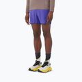 Herren-Laufshorts Salomon Sense Aero 5" liberty 3