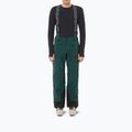 Herren-Skihose Salomon Spectral Green Gables