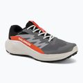 Herren-Laufschuhe Salomon Alphaglide GTX castlerock/lunar rock