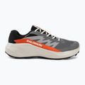 Herren-Laufschuhe Salomon Alphaglide GTX castlerock/lunar rock 2