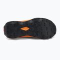 Herren-Laufschuhe Salomon Ultra Flow 2 GTX gull/turmeric/white pepper 4