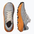 Herren-Laufschuhe Salomon Ultra Flow 2 GTX gull/turmeric/white pepper 8