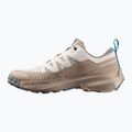 Herren-Trekkingschuhe Salomon Techamphibian 5 rainy day/desert tan/mykonos blue 3