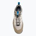 Herren-Trekkingschuhe Salomon Techamphibian 5 rainy day/desert tan/mykonos blue 5