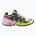 Laufschuhe für Damen Salomon Speedcross 6 GTX bog/dawn pink