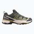 Herren-Trekkingschuhe Salomon X Ultra 360 Edge GTX peat/olive night