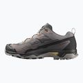 Herren-Trekkingschuhe Salomon X Ultra 5 cloudburst/black/willow 2