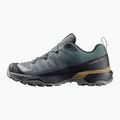 Herren-Trekkingschuhe Salomon X Ultra 360 GTX urban chic/black 2